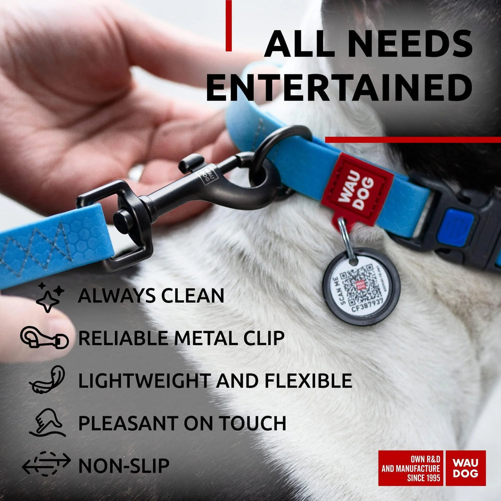 Waterproof Dog Leash 4 Ft X 1 in Anti-Slip All Sizes Blue