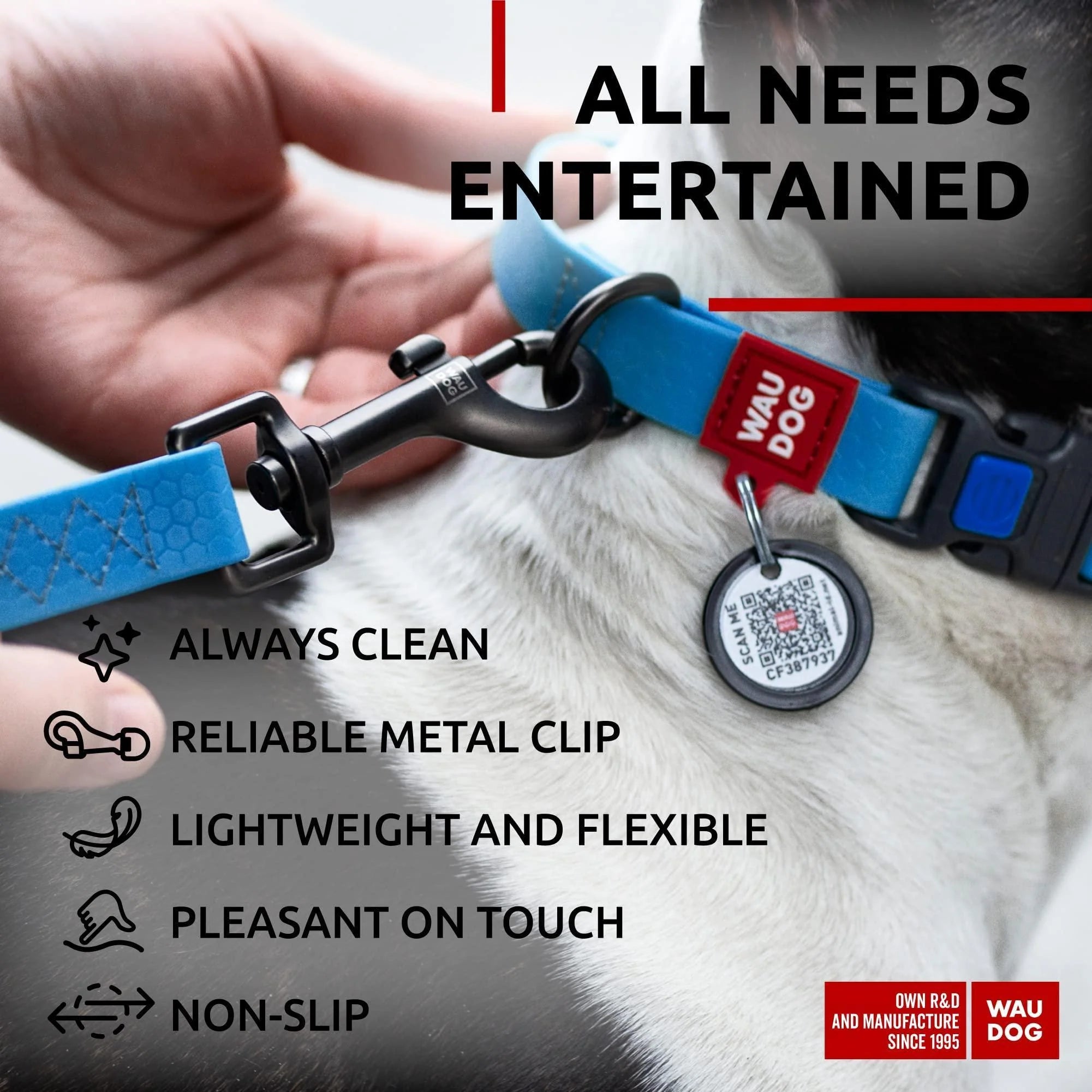 Waterproof Dog Leash 4 Ft X 1 in Anti-Slip All Sizes Blue