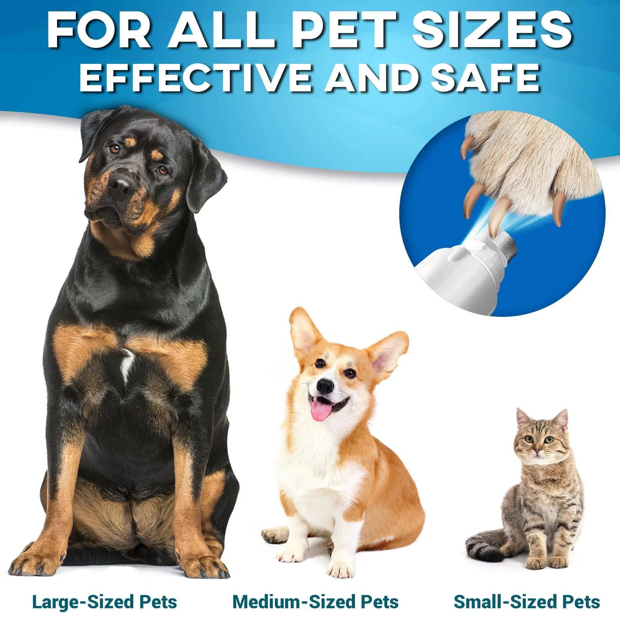 Dog Nail Grinder Replacement Head 3-Pack Bits