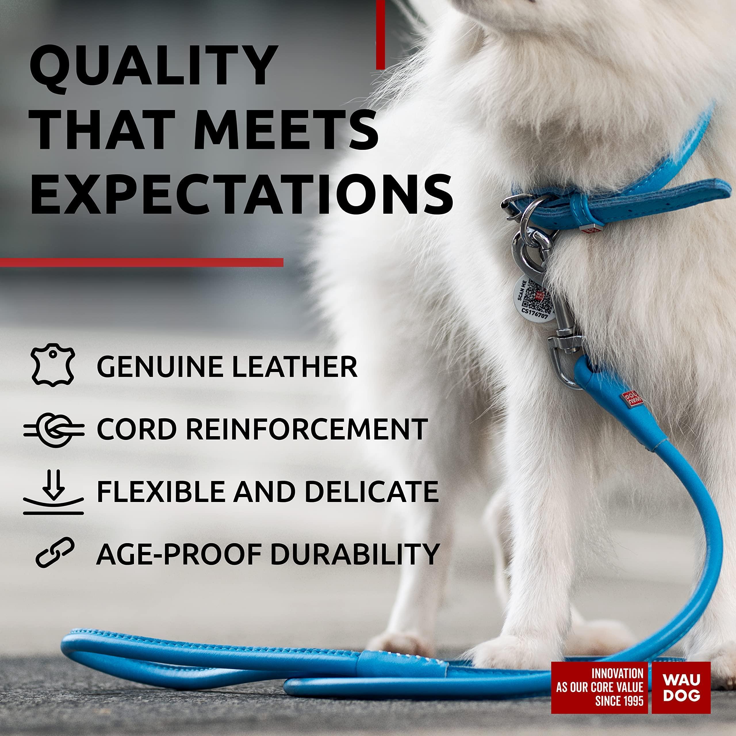 Rolled Leather Dog Leash 4 Ft X 0.3 in All Sizes Blue