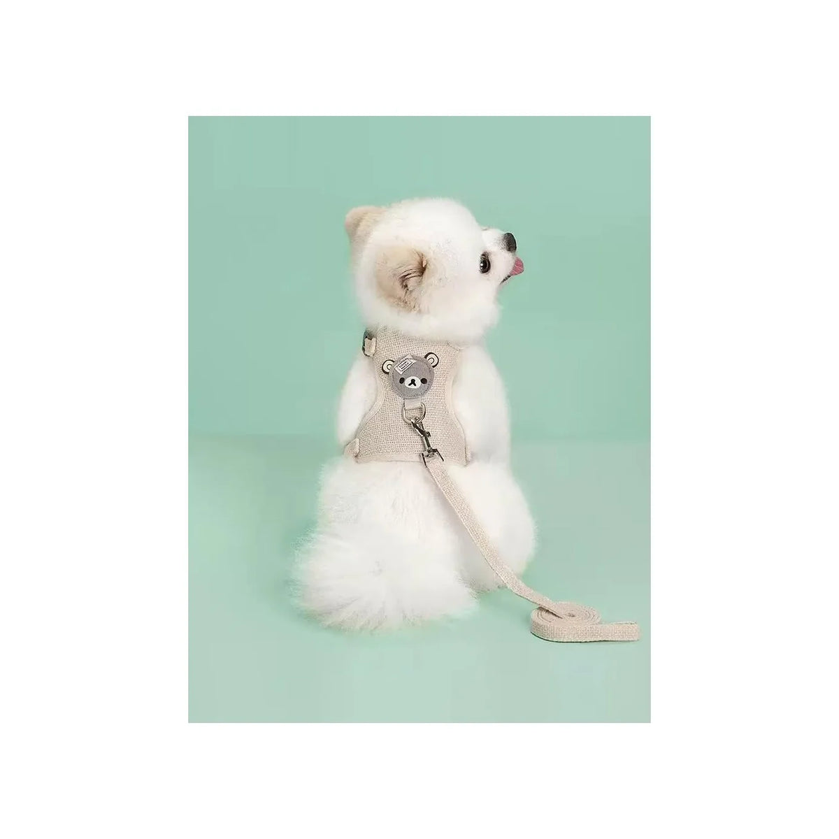 Pet Cat Dog Chest Harness and Leash, Soft Cat Dog Pet Vest with Rope, Adjustable Dog Walking Harness, Only for Small Dog Cat Pet