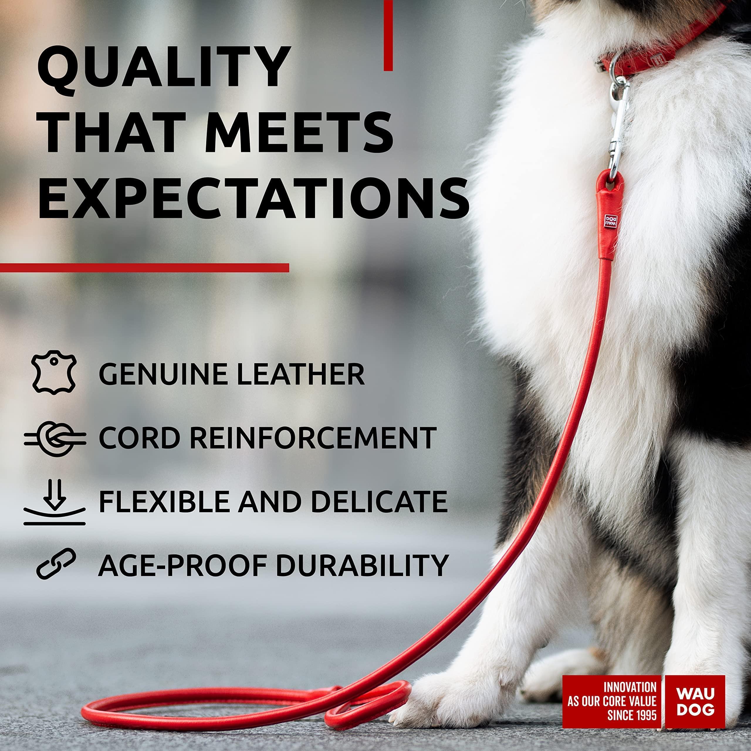 Rolled Leather Dog Leash 4 Ft X 0.5 in All Sizes Red