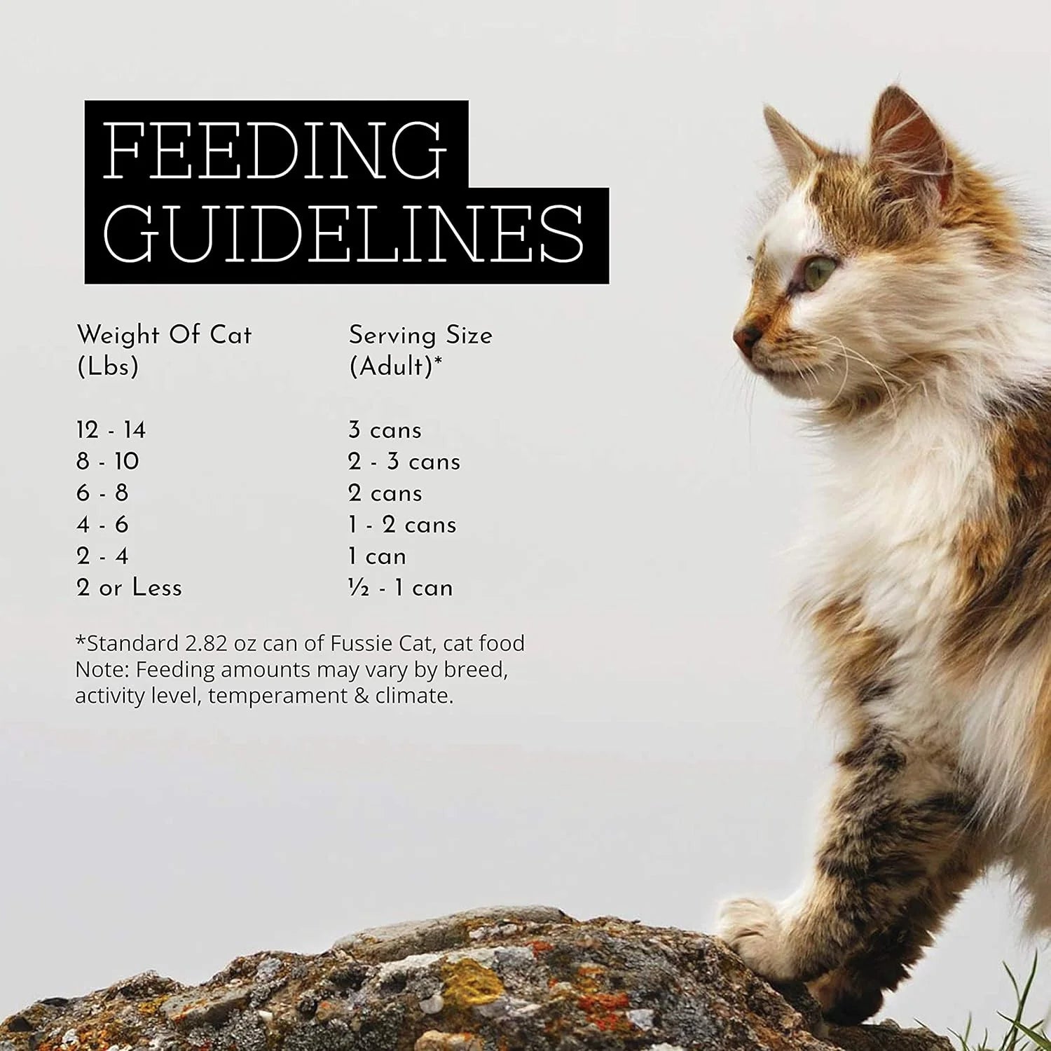 Premium Tuna with Smoked Tuna in Aspic Grain-Free Wet Cat Food 2.82Oz, Case of 24