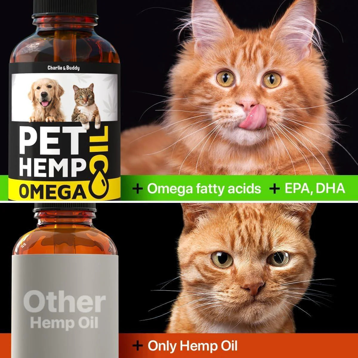 Hemp & Salmon Oil for Dogs Omega 3-6-9 Skin & Coat 1 Fl Oz