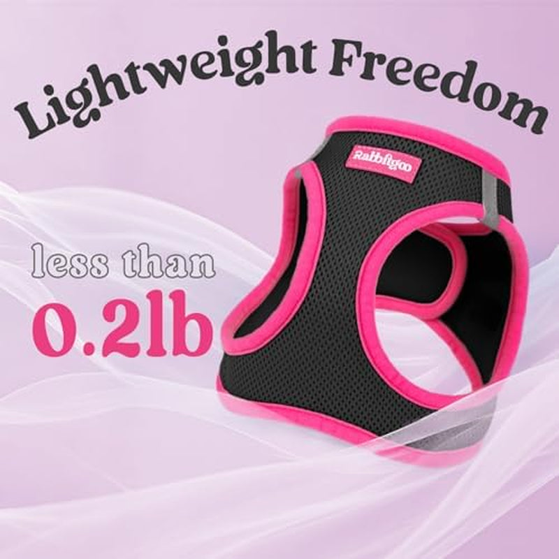 Dog Harness Small Sized and Leash Set, Step-In Breathable Pet Harness, Soft Walking Reflective Puppy Vest for Small Dogs, Black & Rose Red, S