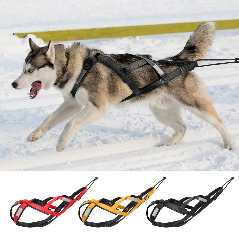 Waterproof Dog Sledding Harness Reflective Pet Sledding Skijoring Harness Big Large Dogs Weight Pulling Vest for Pet Training (65Cm - 85Cm)