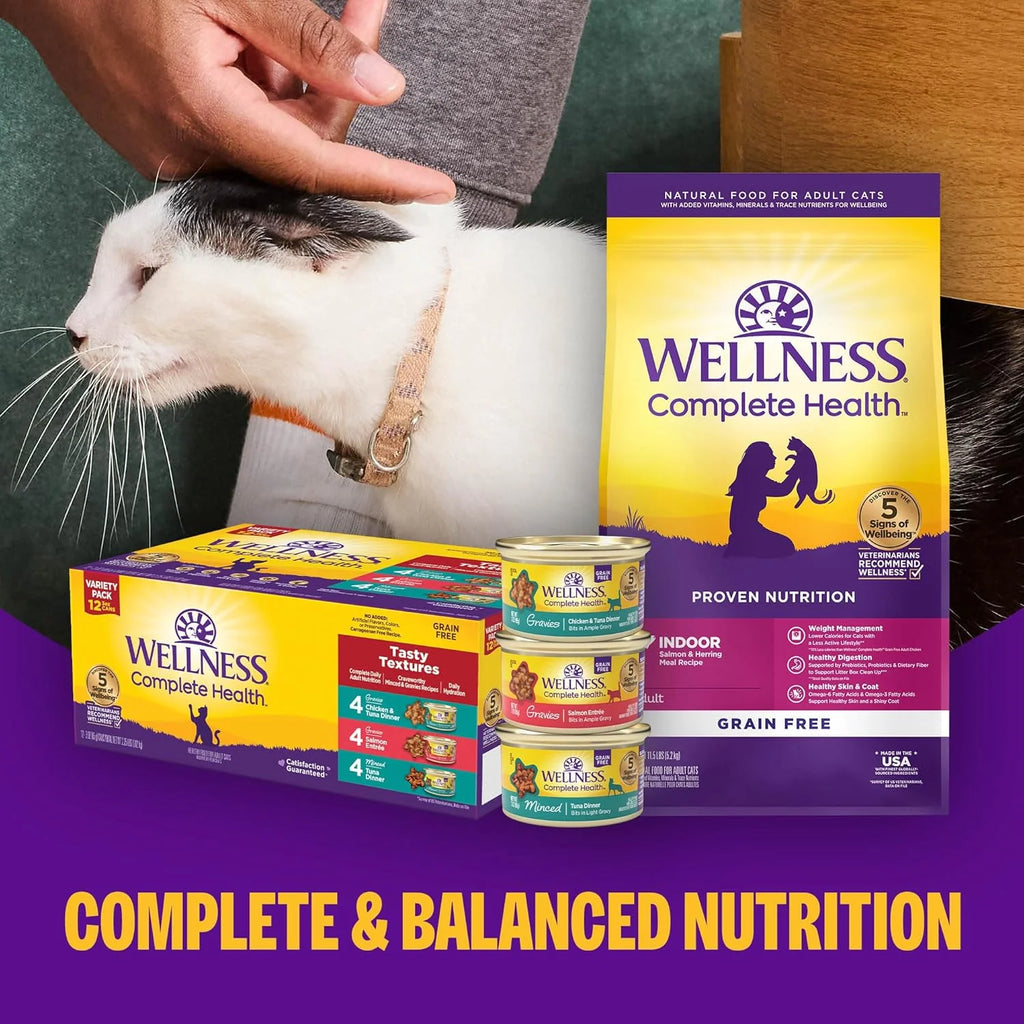 Health Pate Adult Wet Cat Food, Natural, Protein-Rich, Grain Free, 3 Ounce, 24 Pack, (Turkey &Salmon)