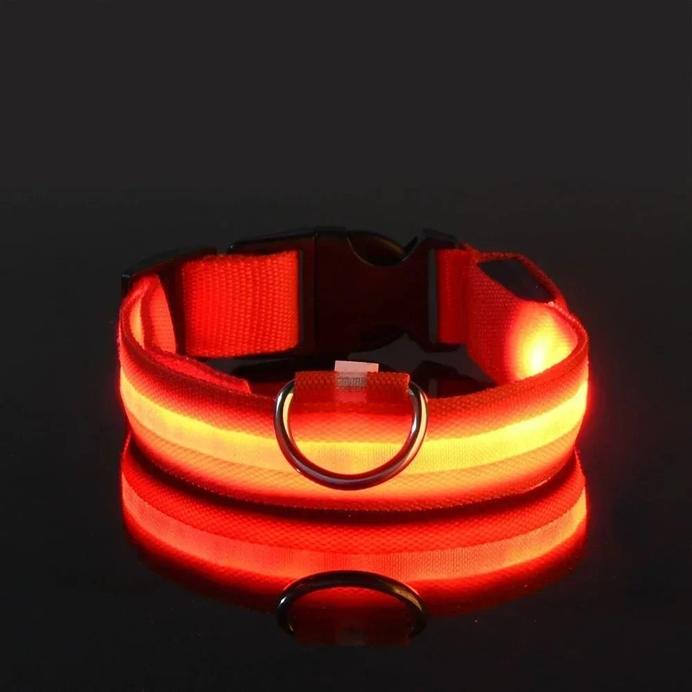 Dog Collar Nylon LED Night Safety Flashing Glow in the Dark Pet Dog Leash Pet Dogs Luminous Fluorescent Dog Accessories Collar (L)