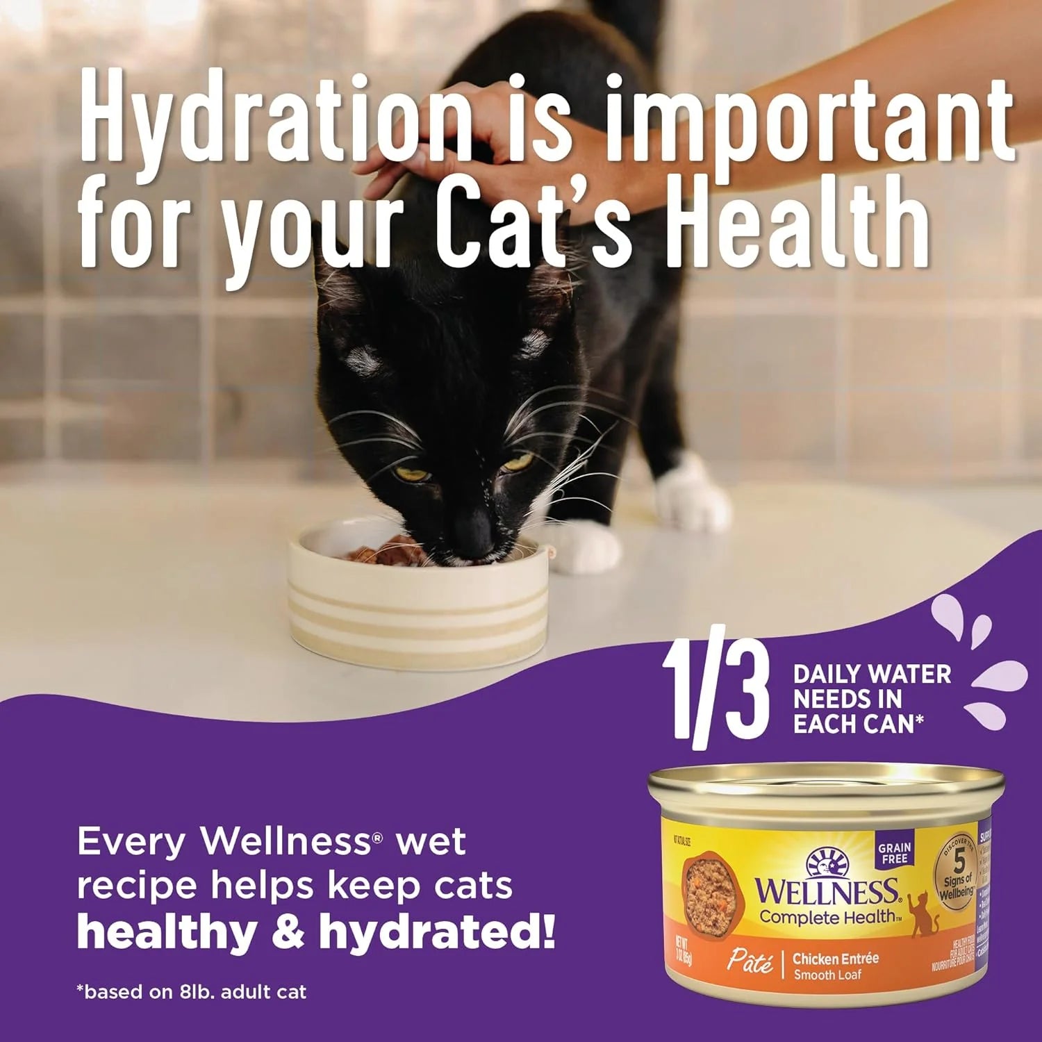 Health Pate Adult Wet Cat Food, Natural, Protein-Rich, Grain Free, 3 Ounce, 24 Pack, Chicken & Lobster