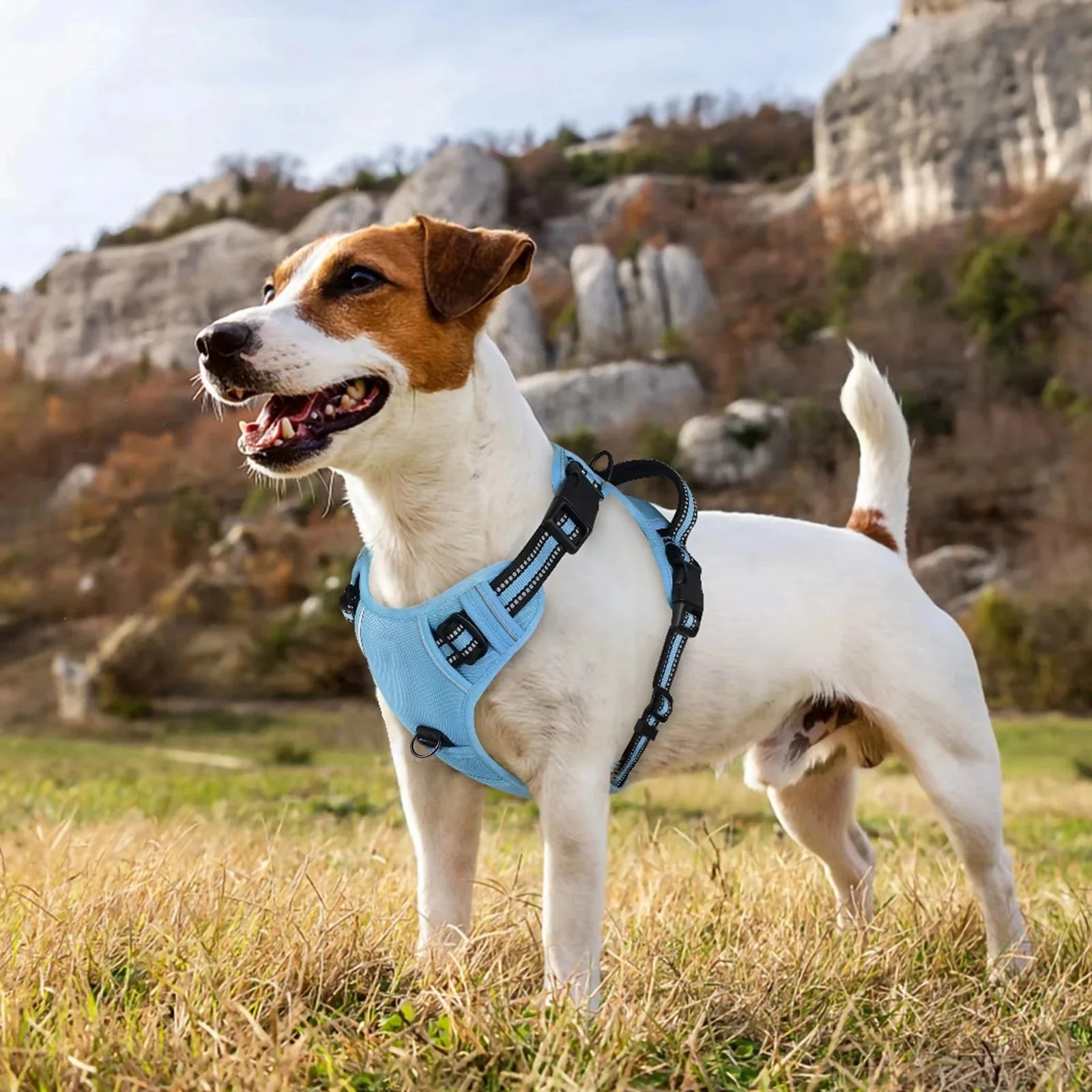 Dog Harness and Leash Combo, Escape Proof No Pull Vest Harness, with 5 Feet Leash, Reflective Adjustable Soft Padded Pet Harness (L)