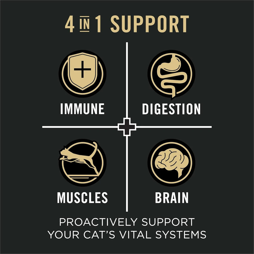 Vital Systems Chicken and Egg Formula 4-In-1 Adult Dry Cat Food - 3 Lb. Bag
