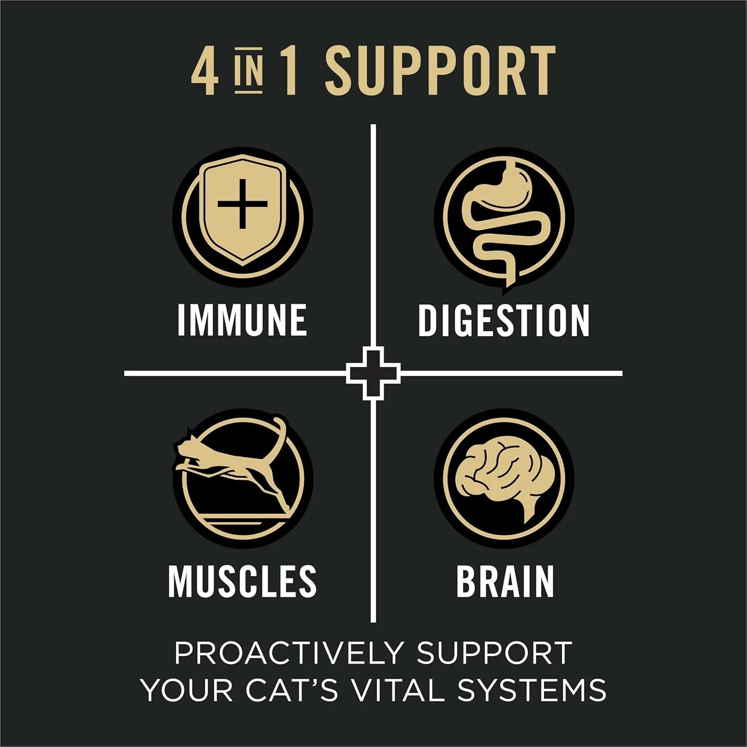 Vital Systems Chicken and Egg Formula 4-In-1 Adult Dry Cat Food - 3 Lb. Bag