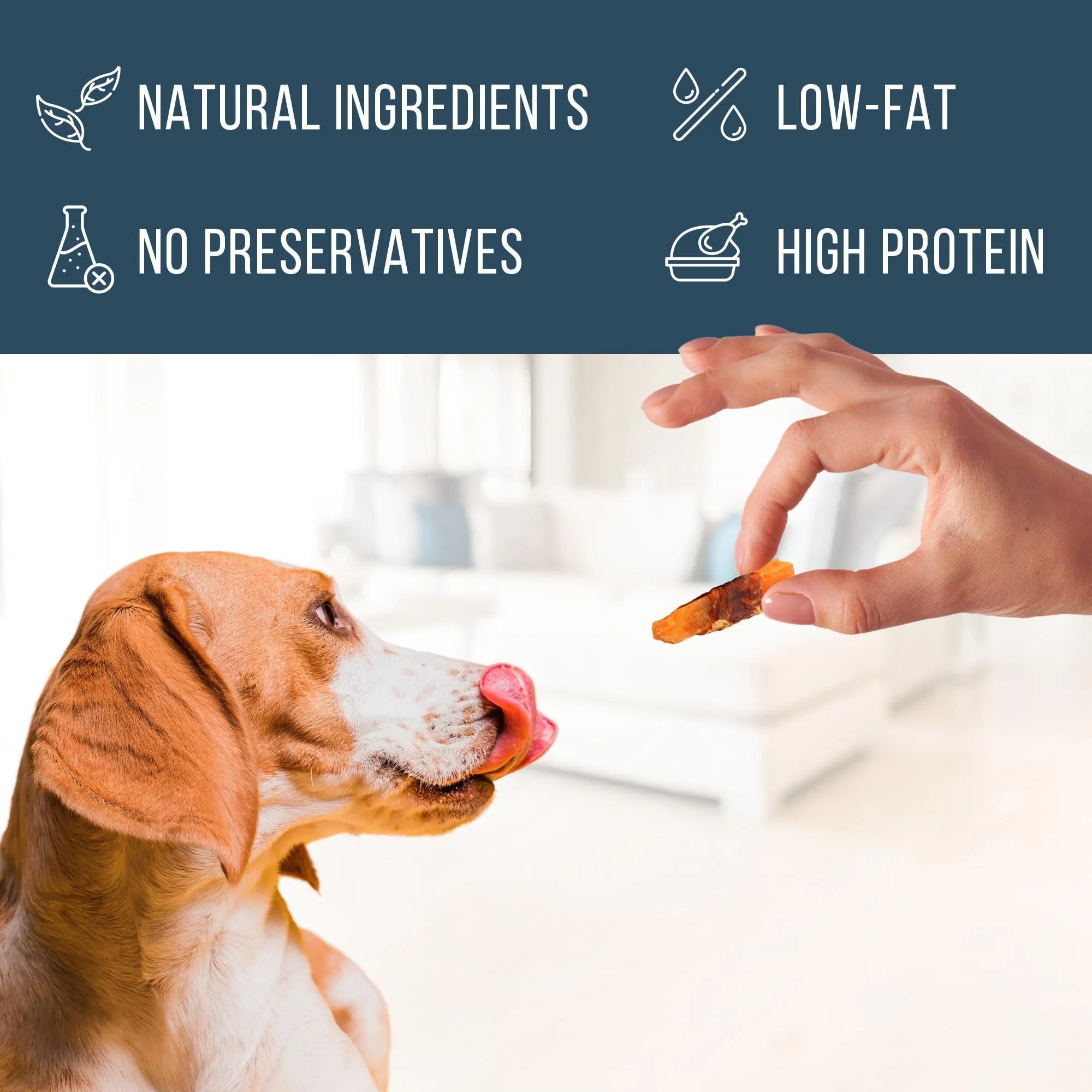 Chicken Jerky Dog Treats 24 Oz Human-Grade Grain-Free Sweet Potato