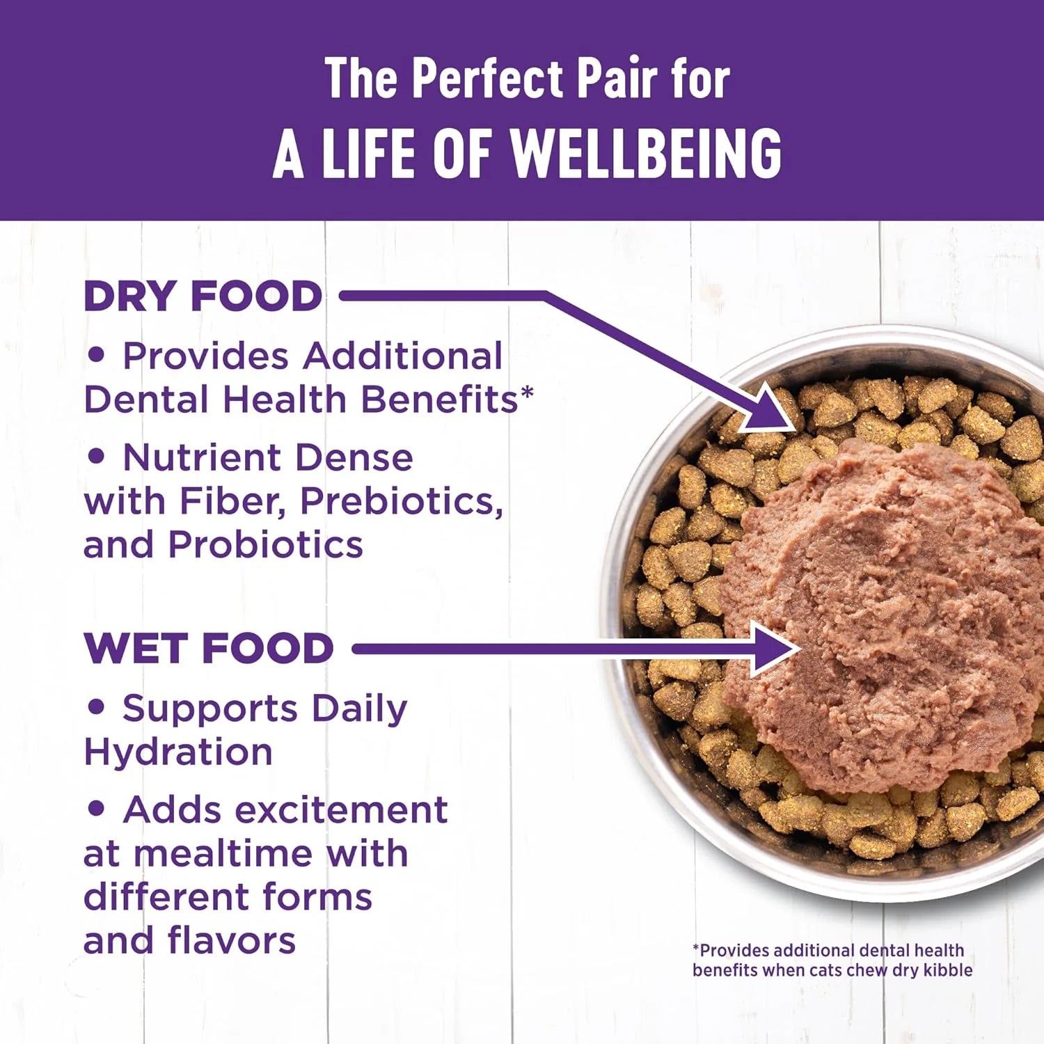 Health Pate Adult Wet Cat Food, Natural, Protein-Rich, Grain Free, 3 Ounce, 24 Pack, Chicken & Lobster