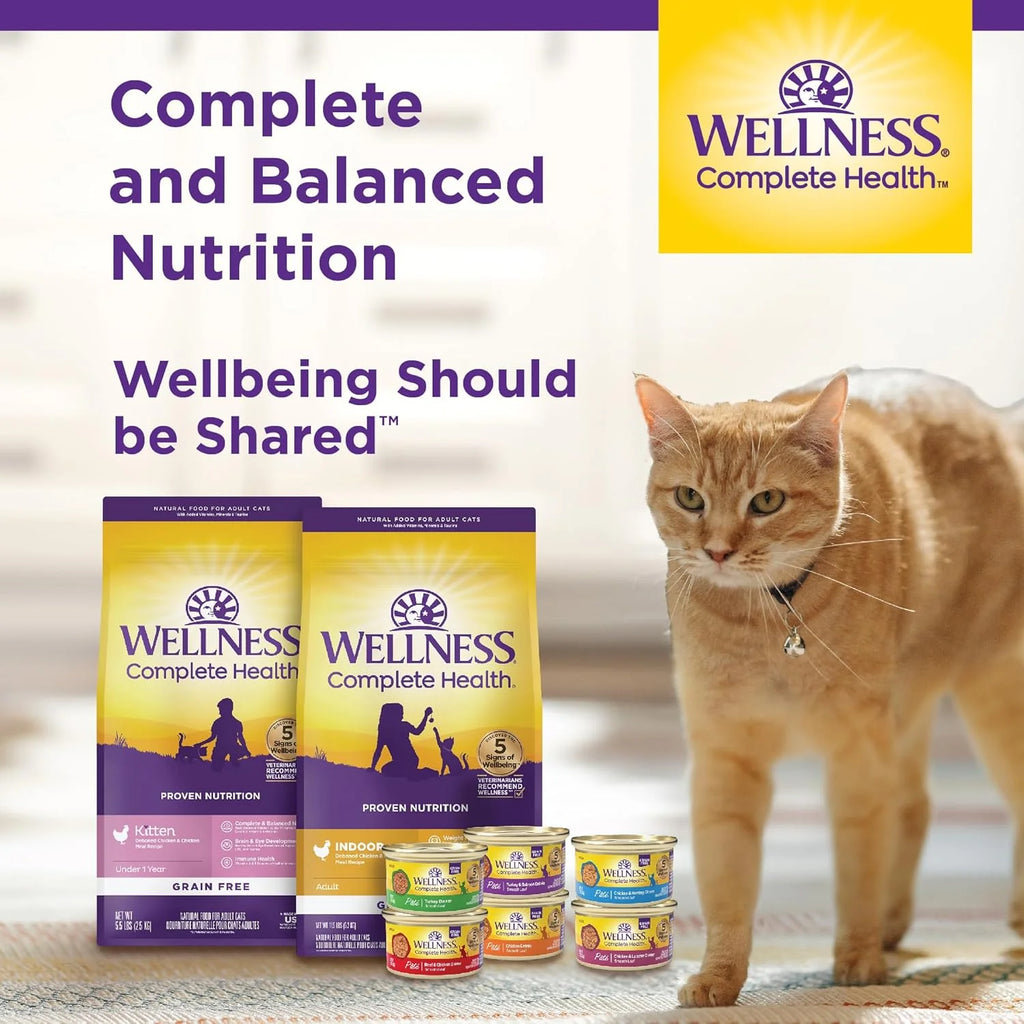 Health Pate Adult Wet Cat Food, Natural, Protein-Rich, Grain Free, 3 Ounce, 24 Pack, (Turkey &Salmon)