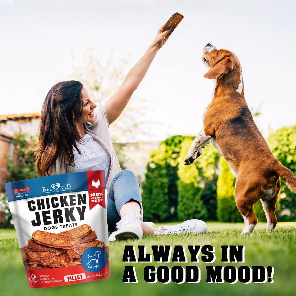 Chicken Jerky Dog Treats 1.5 Lb Human-Grade Grain-Free Dried Strips