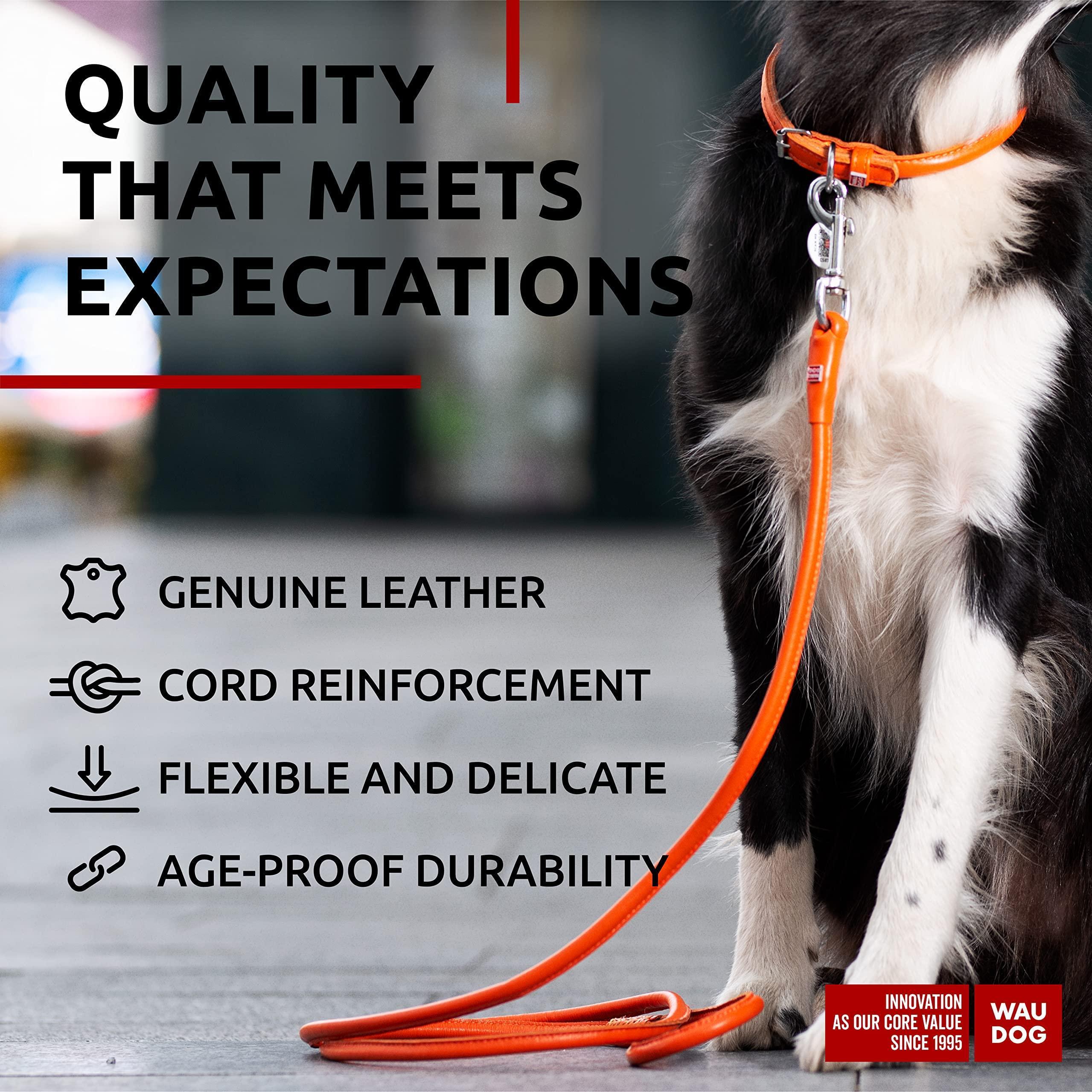 Rolled Leather Dog Leash 4 Ft X 0.4 in All Sizes Orange
