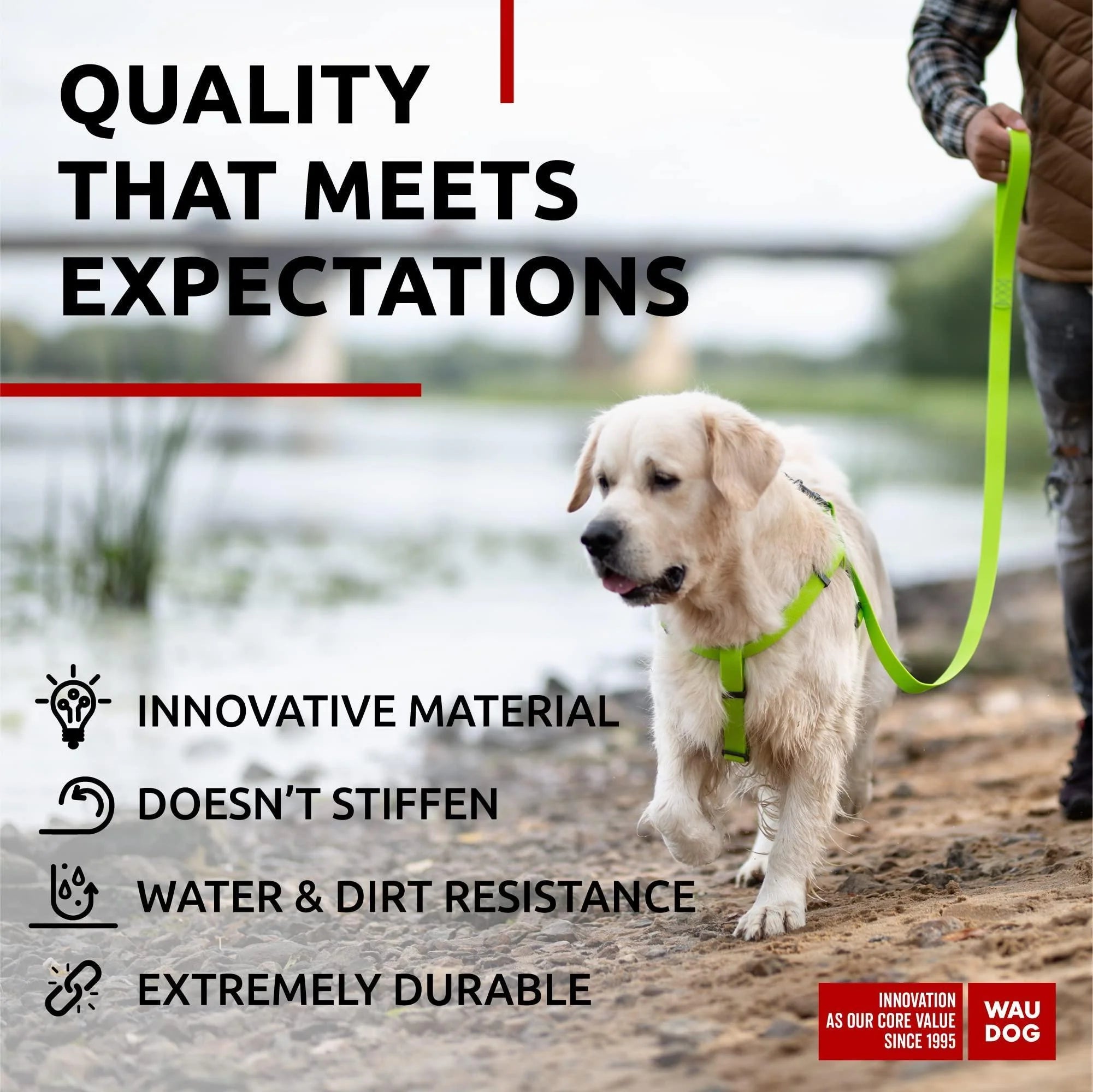 Waterproof Dog Leash 4 Ft & 6 Ft Anti-Slip All Sizes Green